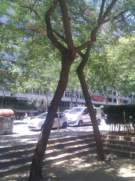 Les geopatíes son a qualsevol racó a parc Sagrad Familia per Joan Carles López